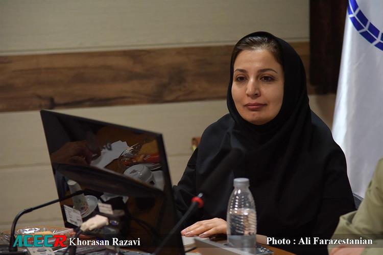 عضو هیأت علمی پژوهشکده گردشگری جهاد دانشگاهی: سوغات متبرک؛ حامل تجربه قدسی و پیوند میان زیارت و زندگی روزمره است